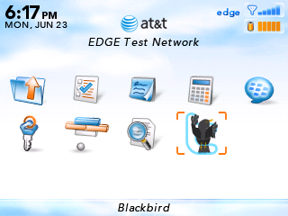 BlackBerry home screen Blackbird icon