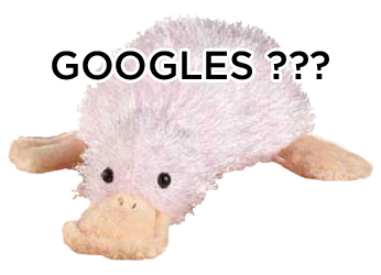 GOOGLES ???